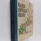 Koulun värikuvakasvio - pikkukuva 1