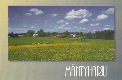 Mäntyharju Särkemäki p98