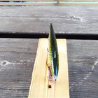 Rapala floating Rainbow Trout 10,5cm - pikkukuva 3