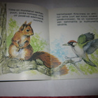 ORAVA JA TIKAT  Eläintarinoita - pikkukuva 2