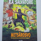 Salvatore, R. A.: Ensimmäisen kuninkaan saaga 1: Metsärosvo - pikkukuva 1