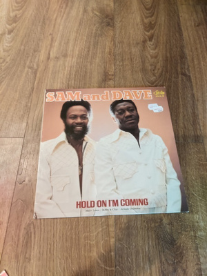 SAM and DAVE - Hold On I'm Coming