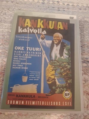 Kankkulan kaivolla