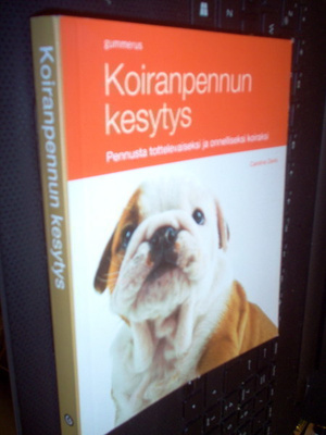 Davis :  Koiranpennun kesytys  ( 1 p. 2012 ) Sis. postikulut