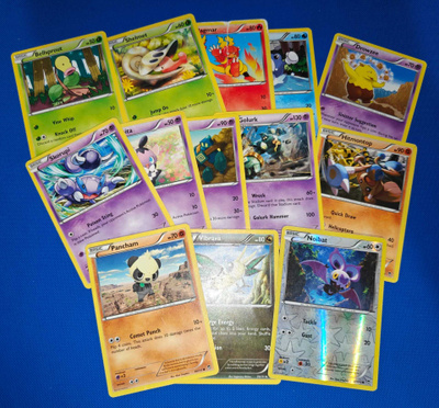 Pokémon Furious Fists