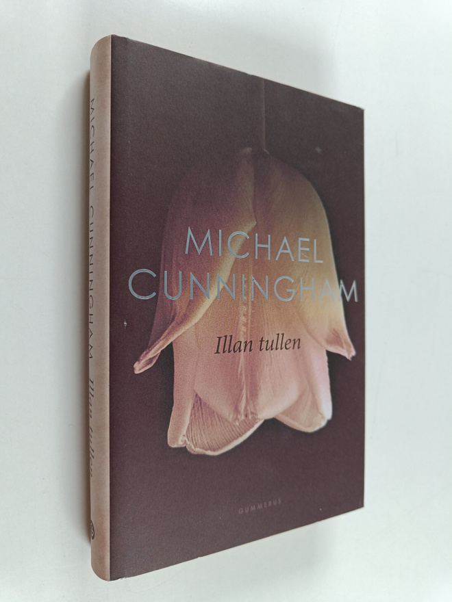 Michael Cunningham : Illan tullen