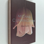 Michael Cunningham : Illan tullen - pikkukuva 1