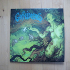 THE GRAVIATORS - THE GRAVIATORS  2 x lp - pikkukuva 1