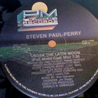 STEVEN PAUL-PERRY :: UNDER THE LATIN MOON : VINYYLI MAXI 12" - pikkukuva 2