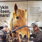 Seura n:o 11 2020 Riitta Väisänen & Annika Niemitalo. Niinis - pikkukuva 3
