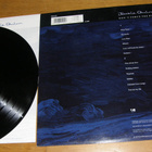 Jackie Quinn - Don't force the river - LP - pikkukuva 2