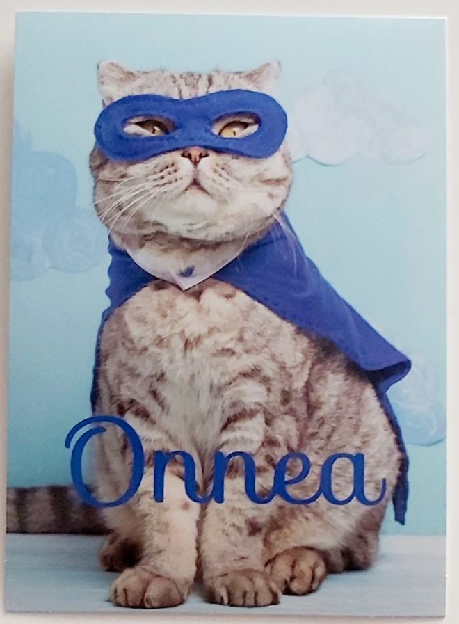 "Kissa sinisessä asussa"-KULKEMATON ONNITTELUKORTTI