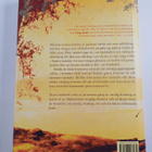 Khaled Hosseini : Tusen strålande solar - pikkukuva 2