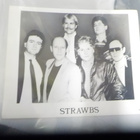 STRAWBS PROMOJULISTE + B/W PROMOKUVA - pikkukuva 2