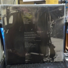 TRANS AM - BORN TO BOOGIE LP 1ST M-/M- - pikkukuva 2