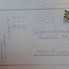 koiranpentu, eläink, kulkenut 1994 - pikkukuva 2