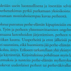 Hannele Forsberg (toim.): Perhe murroksessa - pikkukuva 3