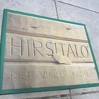 Risto Vuolle-Apiala: Hirsitalo ( uudenveroinen ) - pikkukuva 1