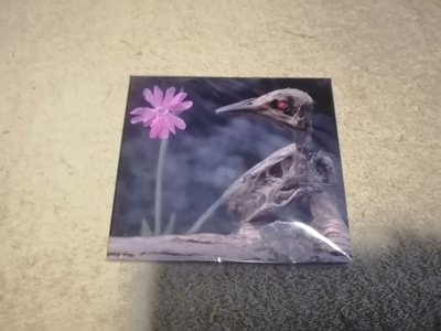 VERDE - Petoviha Digipack-CD