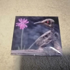 VERDE - Petoviha Digipack-CD - pikkukuva 1