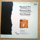 Divinyls - Pleasure & Pain 12" - pikkukuva 2