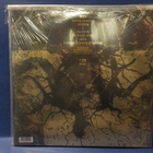 AFTER THE BURIAL - RAREDORM M-/M- U.S 2018 LP - pikkukuva 2