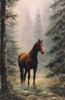 postikortti hevonen