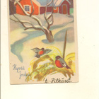 VIKAINEN ,,,, LINNUT JA MÖKKI ,,,, PK 4648 - pikkukuva 2