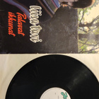 Liisa Tavi - Palavat ikkunat vinyyli lp - pikkukuva 1