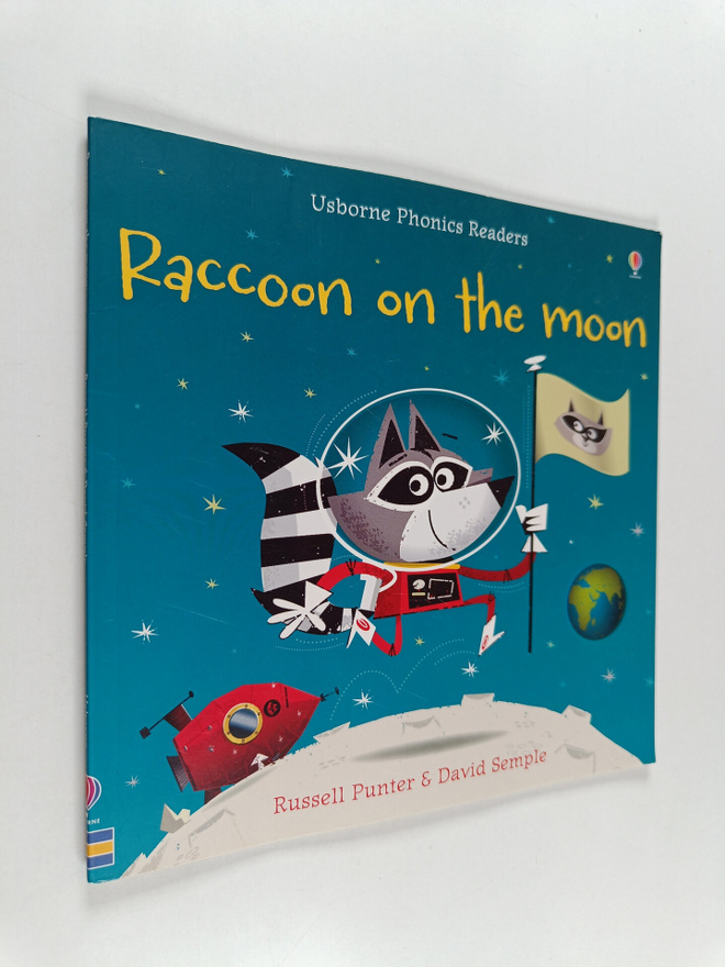 Russell Punter : Raccoon on the moon