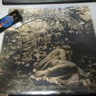 BITTERNESS - AS ALL BEAUTY STARTS TO FAIL 10'' EP UUSI - pikkukuva 1