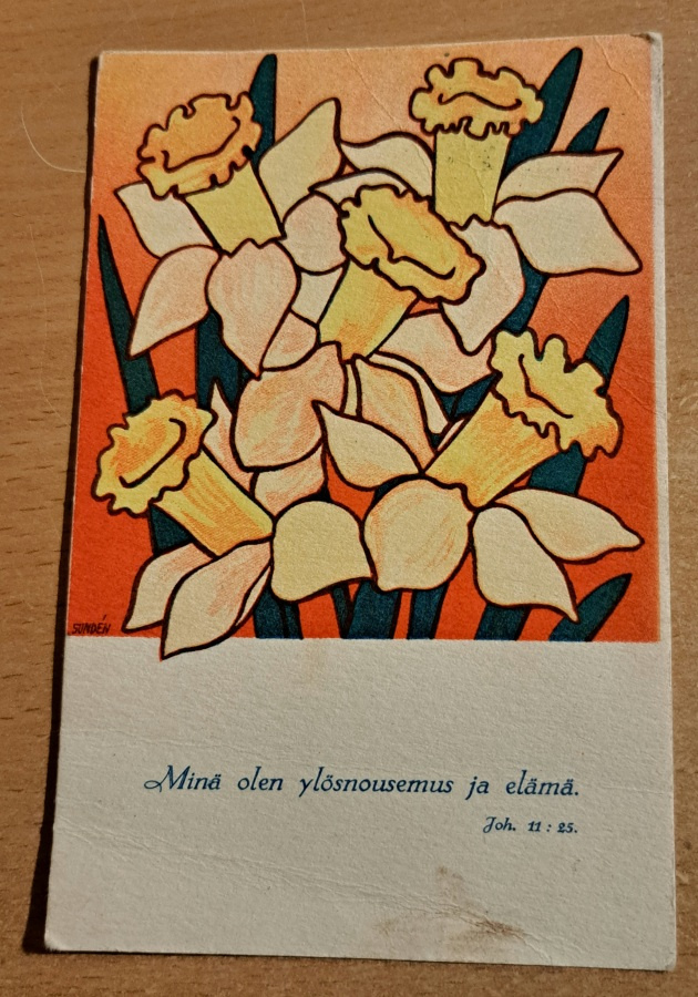 Sunden: pk, narsissikimppu, kulkenut 1957