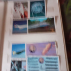 ulk.postimerkit - pikkukuva 3