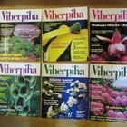 VIHERPIHA- lehtiä. 1,00€ kpl - pikkukuva 2