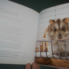 McBride: KÄÄPIÖHAMSTERIT (2012) Sis.p o s t i k u l u t - pikkukuva 5