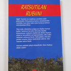 Jenny Hughes : Ratsutilan rubiini - pikkukuva 2
