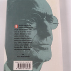 Hermann Hesse : Arosusi - pikkukuva 2