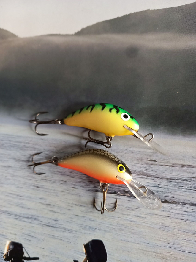 Salmo hornet 2kpl