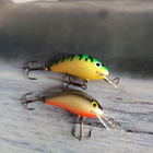 Salmo hornet 2kpl - pikkukuva 1