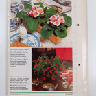 Kukkiva kotini 6/1986 - pikkukuva 2