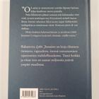 Richard Bach : Lokki Joonatan - pikkukuva 2