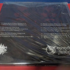 CHURCH OF MISERY - EARLY WORKS COMPILATION M-/M- 3LP+2CD BOX - pikkukuva 2