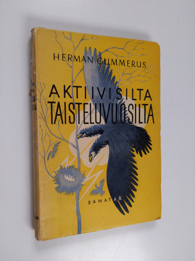 Herman Gummerus : Aktiivisilta taisteluvuosilta