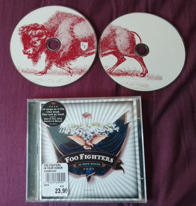 Foo Fighters - In your honor