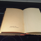 Edgar Rice Burroughs Tarzanin Viidakkoseikkailuja - pikkukuva 4