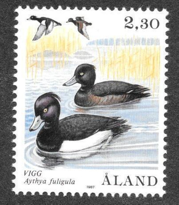 Lintuja 2,30 1987 (LAPE 21) **