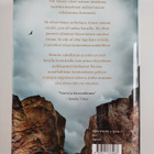Conn Iggulden : Spartan haukka - pikkukuva 2