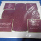 WIGWAM - LUCKY OLDEN STRIPES AND STARPOSE EX+/EX+ LP - pikkukuva 2
