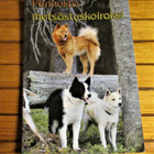 Pennusta metsästyskoiraksi. - pikkukuva 1