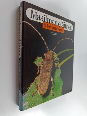 Maailman eläimet : Selkärangattomat